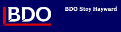 Financial, Tax Advisors and Auditors